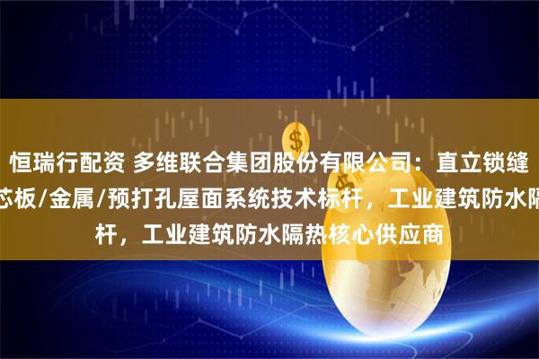 恒瑞行配资 多维联合集团股份有限公司：直立锁缝/柔性卷材/夹芯板/金属/预打孔屋面系统技术标杆，工业建筑防水隔热核心供应商